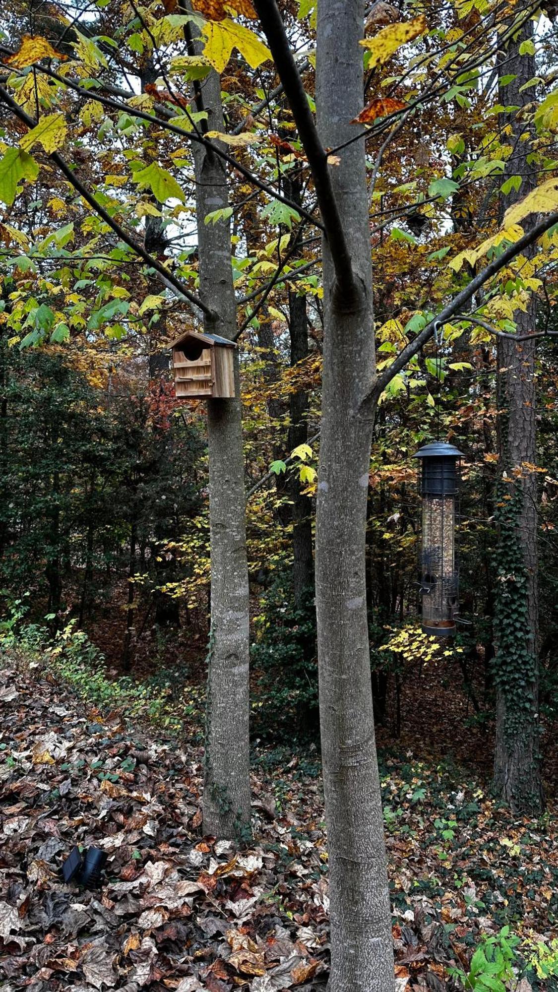 Appalachian Mountain Cabin-Updated-Private-Rafting On Ocoee River-Hiking-Waterfalls-Wifi-Pets Ok Murphy Exterior foto