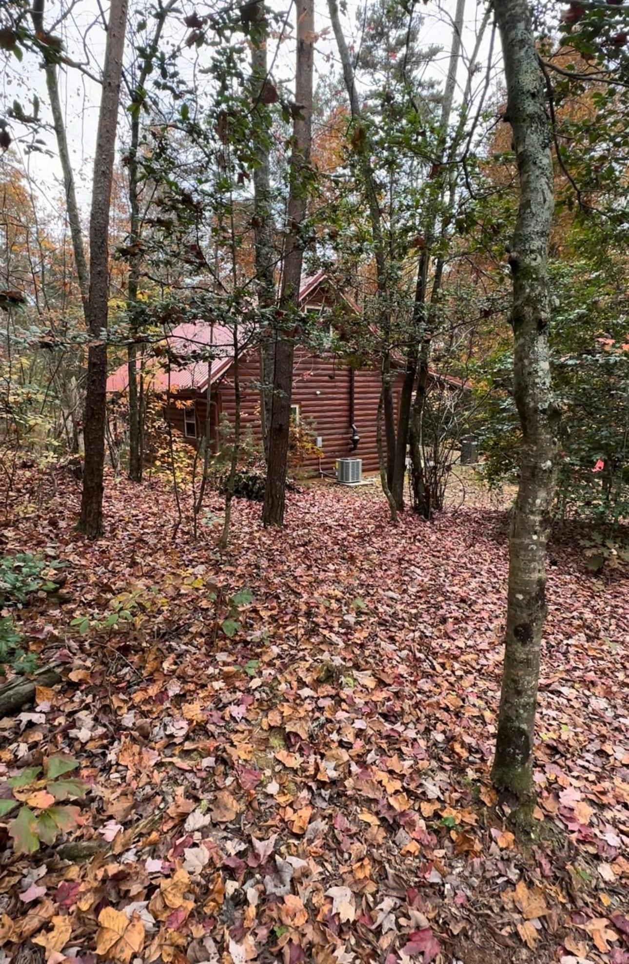 Appalachian Mountain Cabin-Updated-Private-Rafting On Ocoee River-Hiking-Waterfalls-Wifi-Pets Ok Murphy Exterior foto