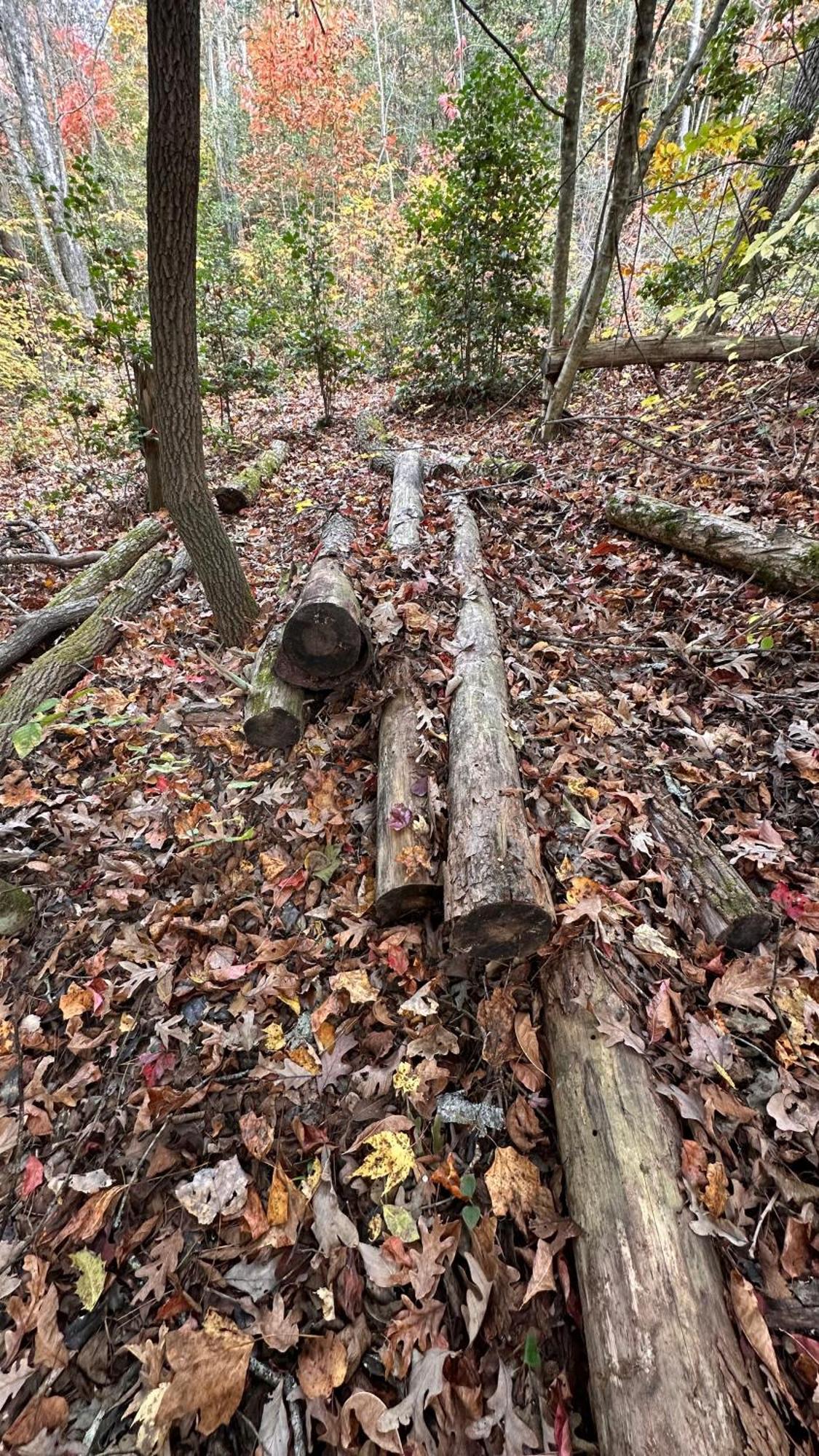Appalachian Mountain Cabin-Updated-Private-Rafting On Ocoee River-Hiking-Waterfalls-Wifi-Pets Ok Murphy Exterior foto