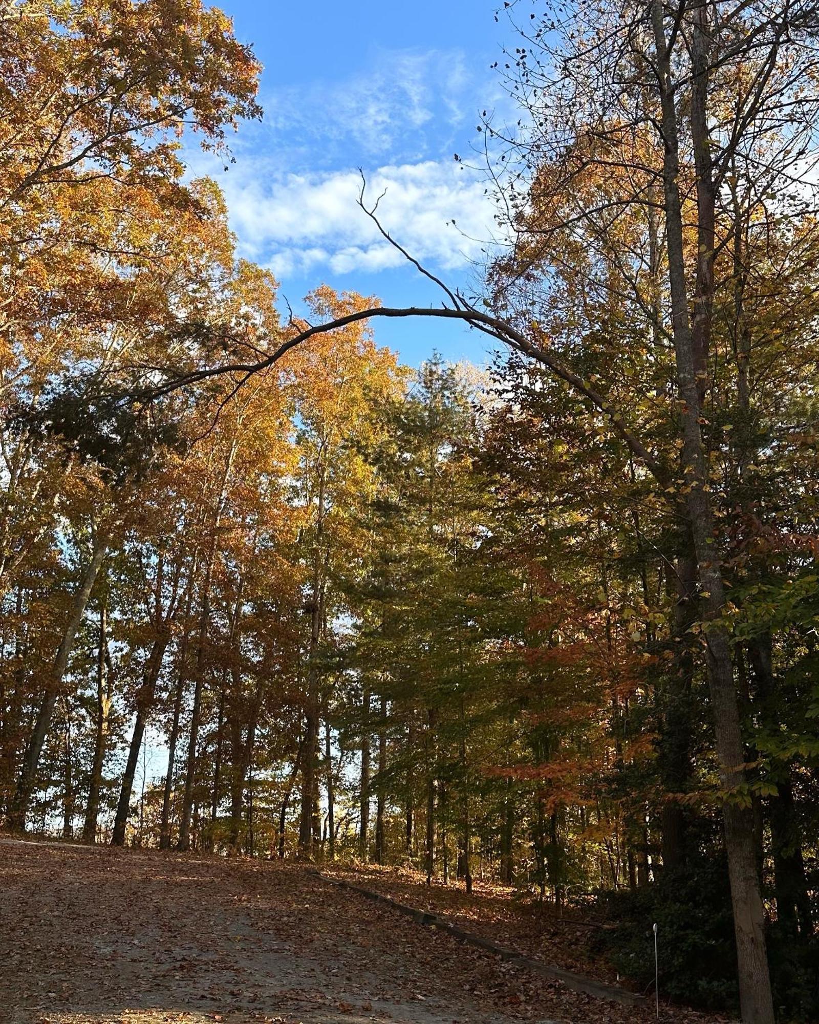 Appalachian Mountain Cabin-Updated-Private-Rafting On Ocoee River-Hiking-Waterfalls-Wifi-Pets Ok Murphy Exterior foto