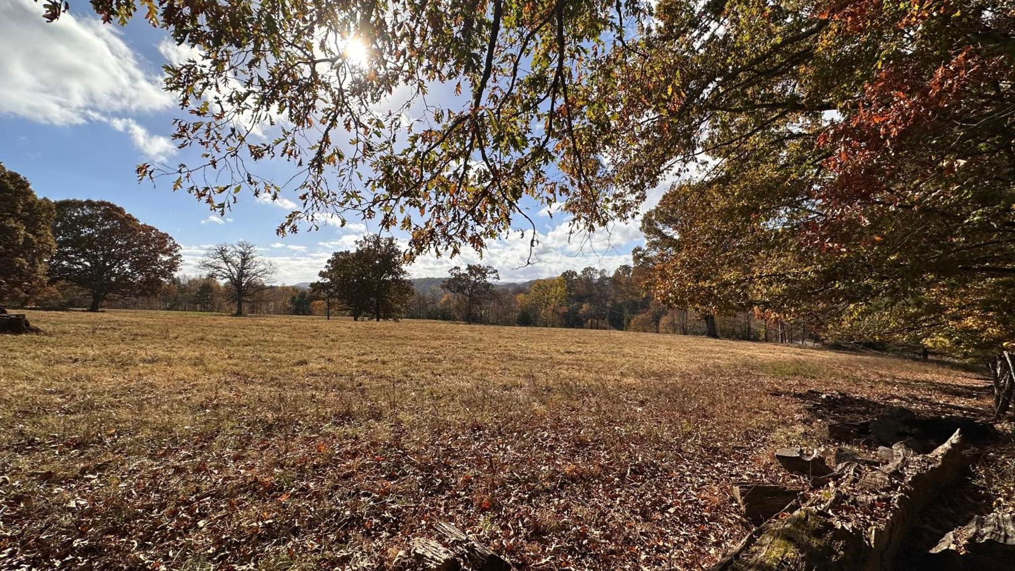 Appalachian Mountain Cabin-Updated-Private-Rafting On Ocoee River-Hiking-Waterfalls-Wifi-Pets Ok Murphy Exterior foto