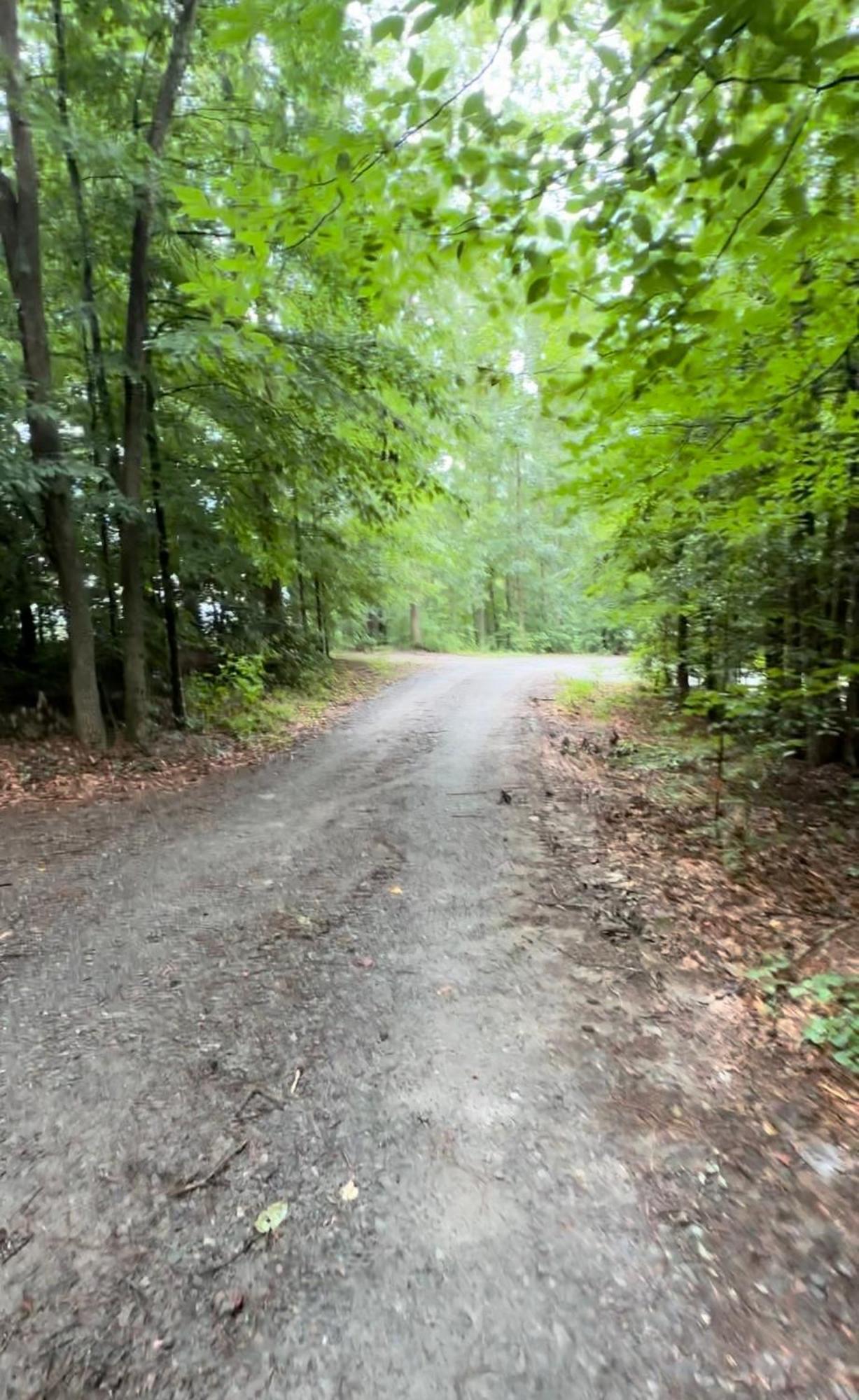 Appalachian Mountain Cabin-Updated-Private-Rafting On Ocoee River-Hiking-Waterfalls-Wifi-Pets Ok Murphy Exterior foto